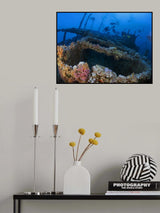 Wreck of the Numidia Poster och Canvastavla