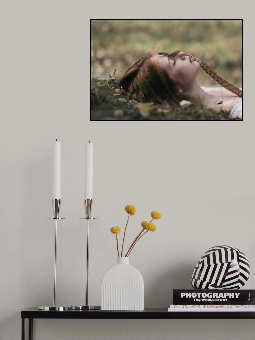 * Poster och Canvastavla