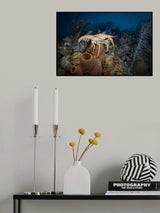 A little hike Poster och Canvastavla