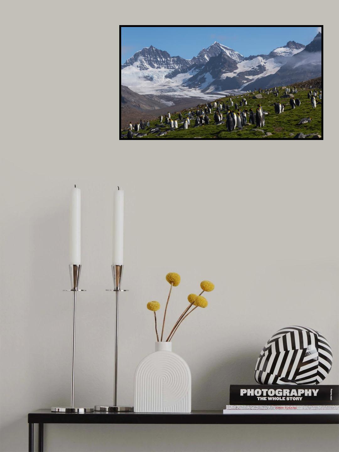 The Eden of Penguins Poster och Canvastavla
