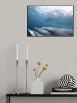 Frame in! Poster och Canvastavla