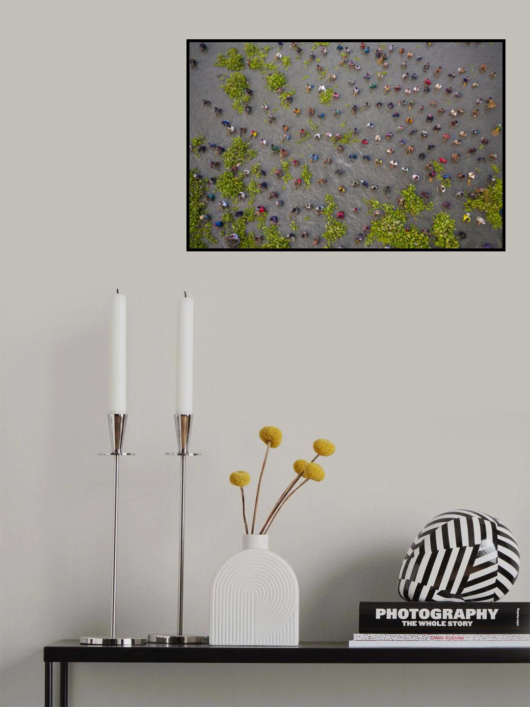 Festival of fishing Poster och Canvastavla