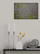Festival of fishing Poster och Canvastavla
