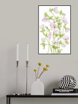 Hellebore Poster och Canvastavla