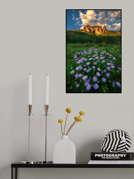 Canyon and Daisies Poster och Canvastavla
