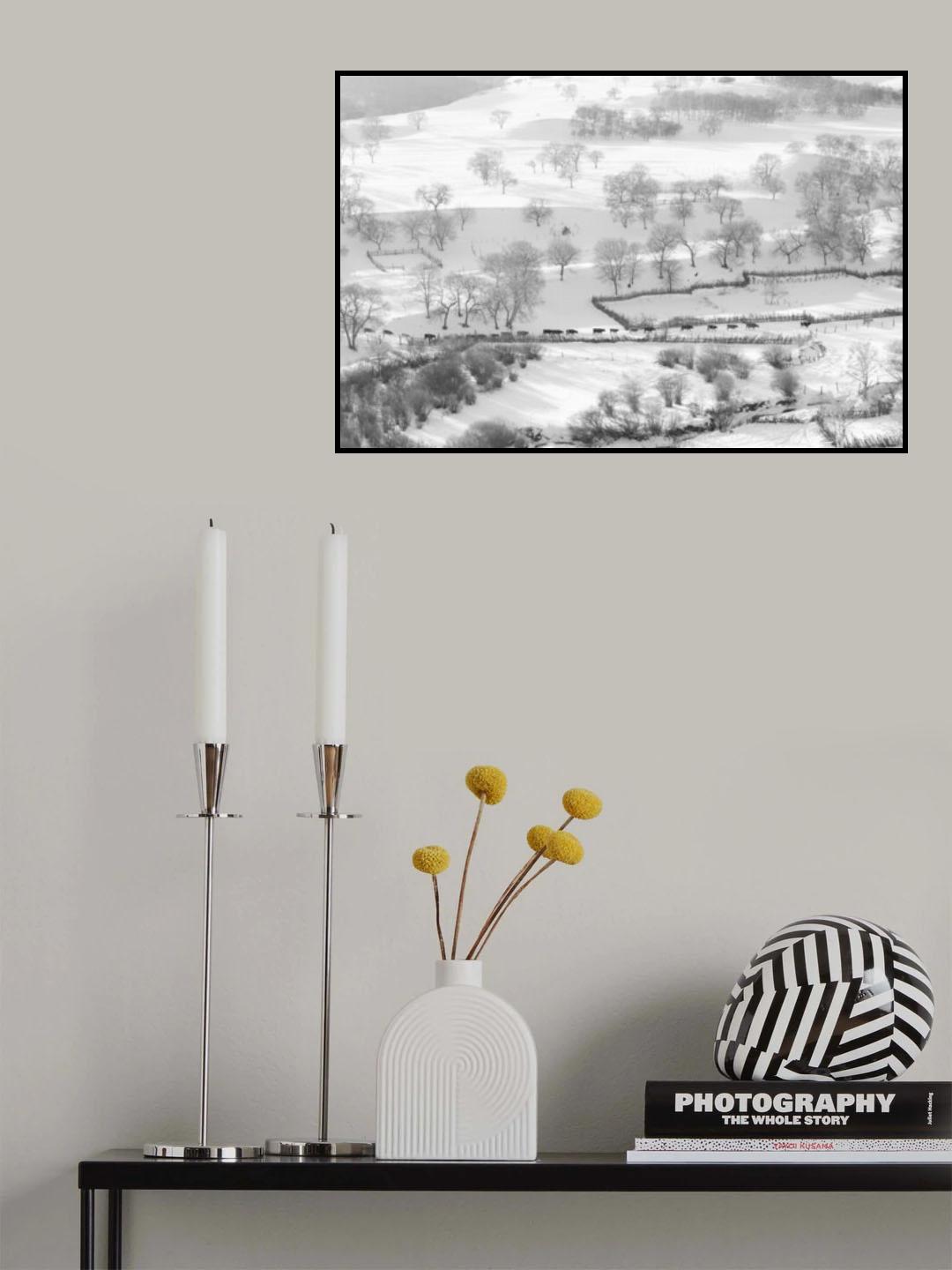 Return from grazing Poster och Canvastavla
