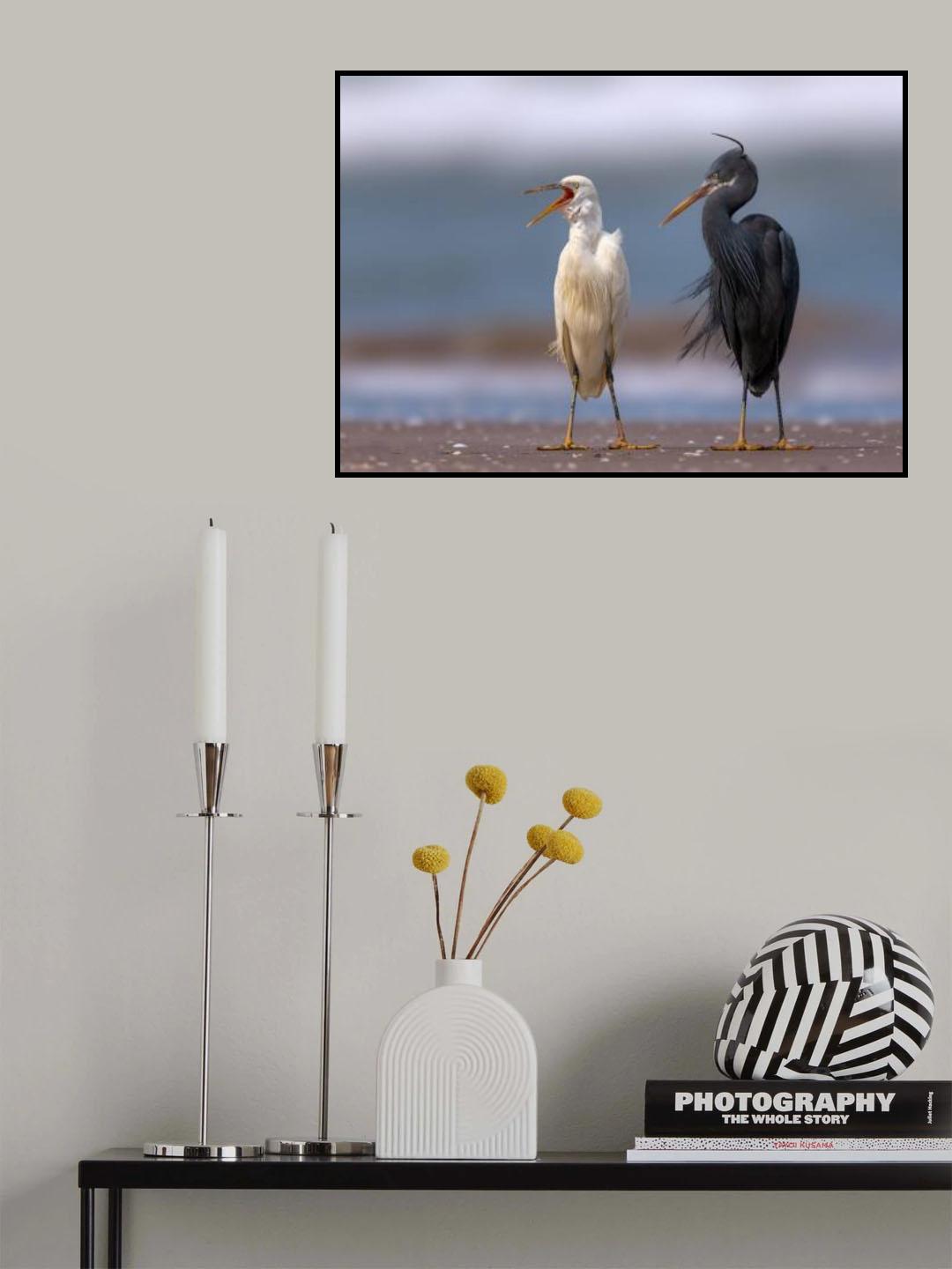 Poster och Canvastavla