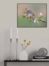 Eastern Bluebird Poster och Canvastavla