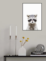 Baby Racoon Poster och Canvastavla