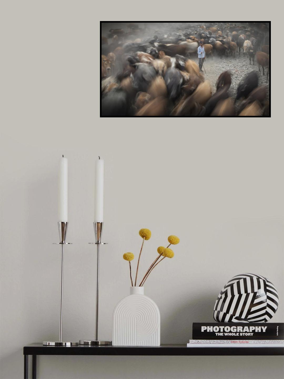 herd and shepherd Poster och Canvastavla