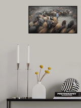 herd and shepherd Poster och Canvastavla