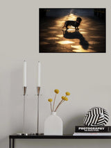 Kluftinger and his Shadow... Poster och Canvastavla