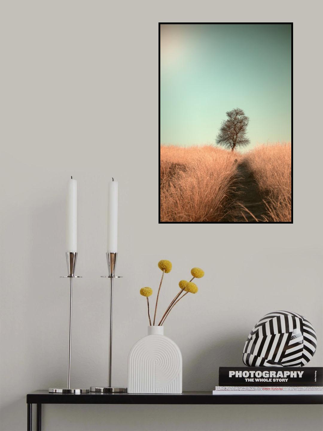 Grass and Path Poster och Canvastavla