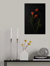 Three Tulips Poster och Canvastavla