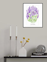Lavender II Poster