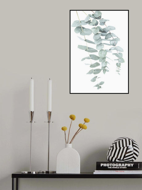 Eucalyptus I Poster och Canvastavla