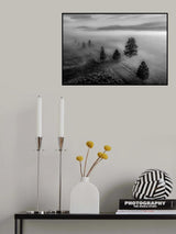 Poster och Canvastavla