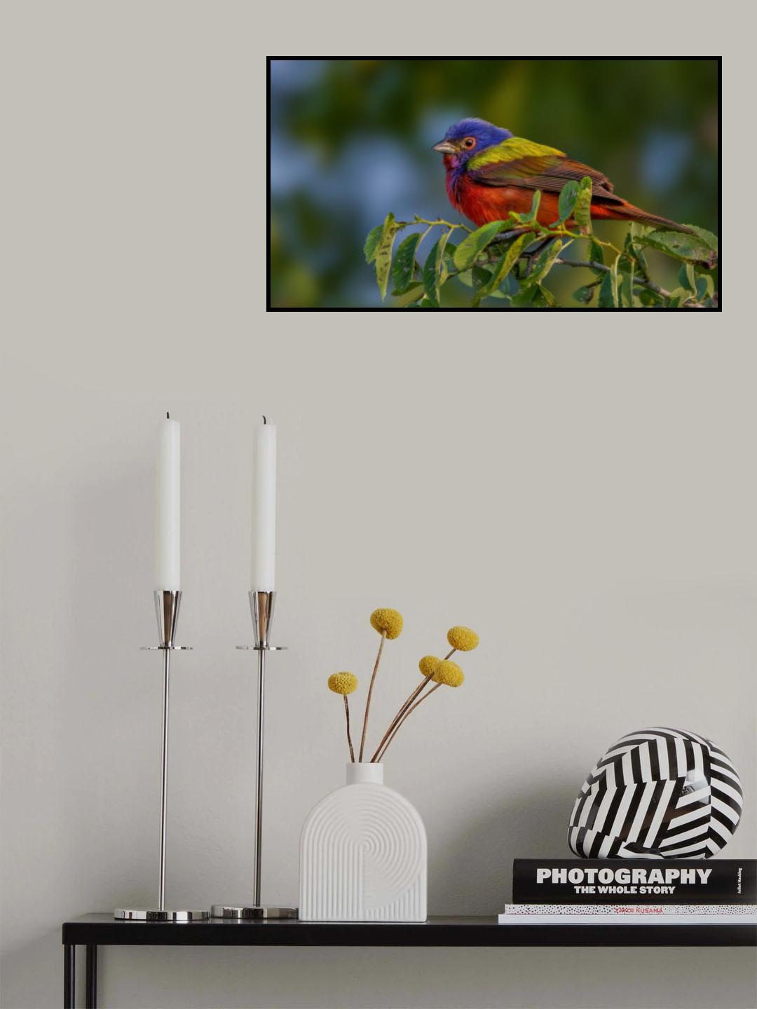 A living rainbow Poster och Canvastavla