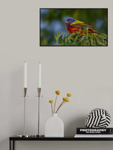 A living rainbow Poster och Canvastavla