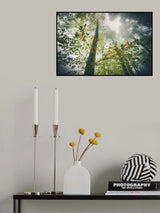 The breath of the forest Poster och Canvastavla