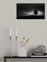 not more alone Poster och Canvastavla