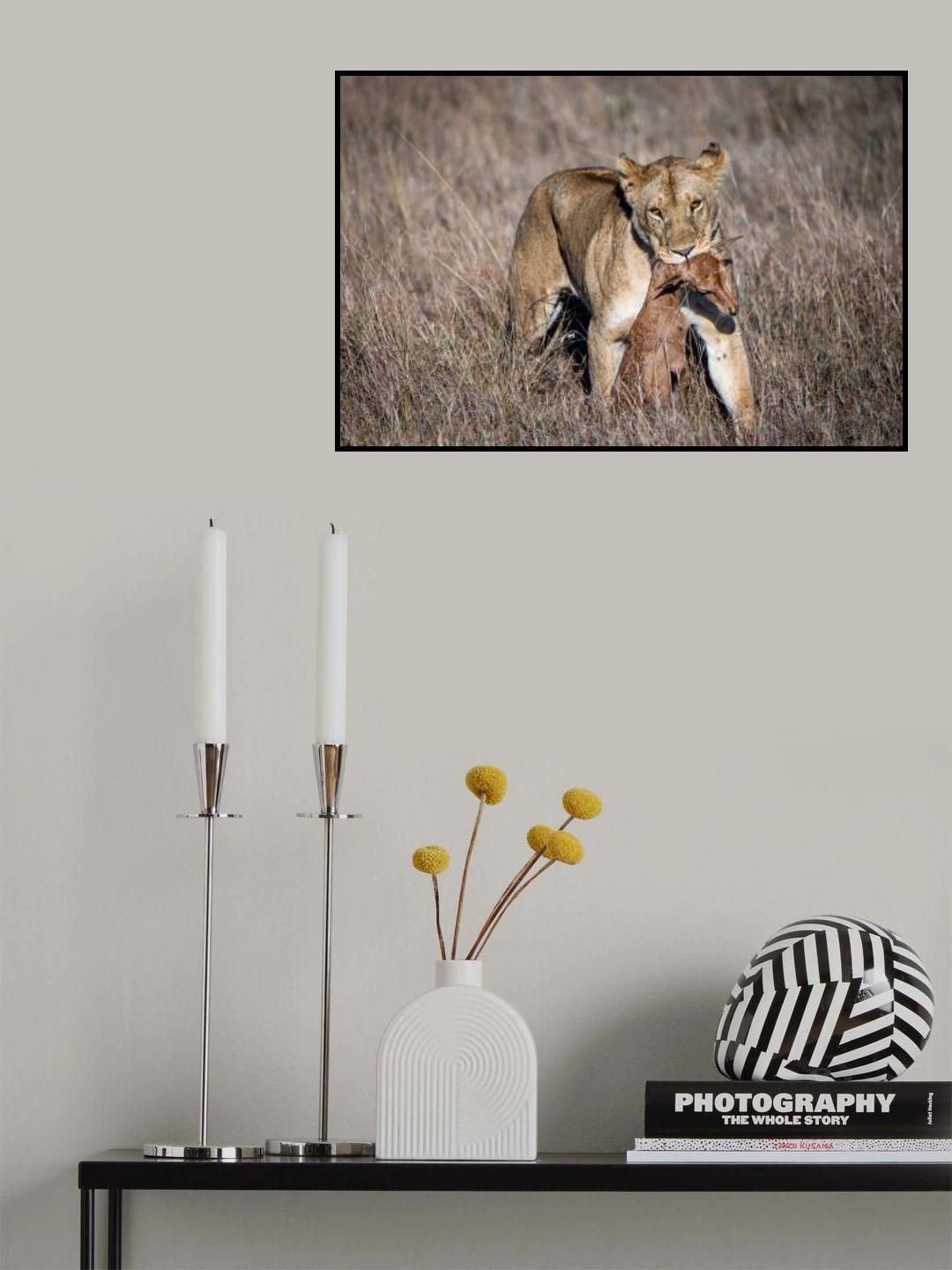 Food for lunch Poster och Canvastavla