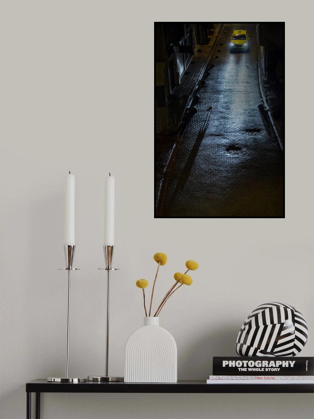 The cat at night Poster och Canvastavla