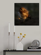 Owl Baby Poster och Canvastavla