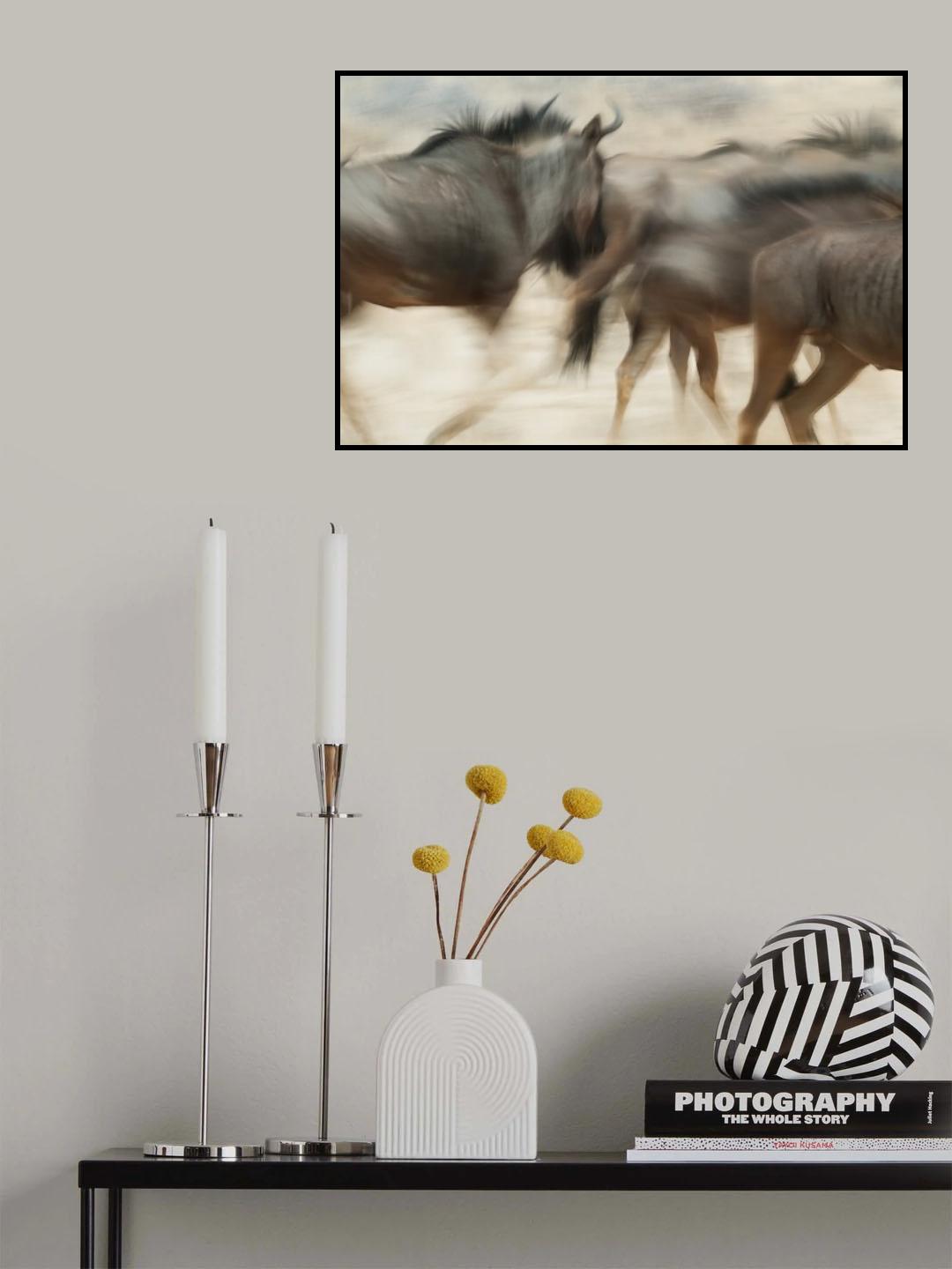 Poster och Canvastavla
