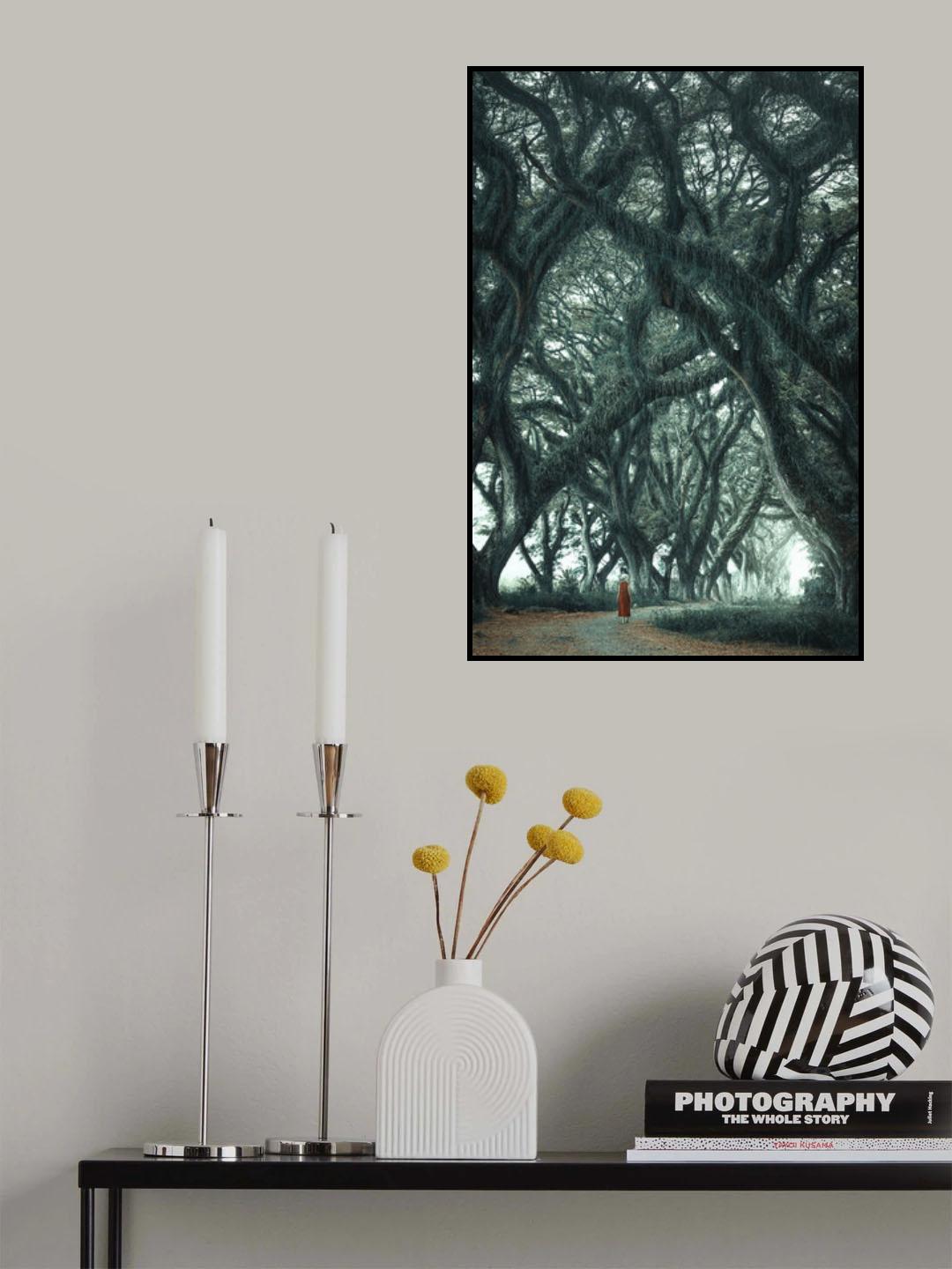 The forest walk Poster och Canvastavla