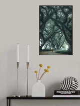 The forest walk Poster och Canvastavla