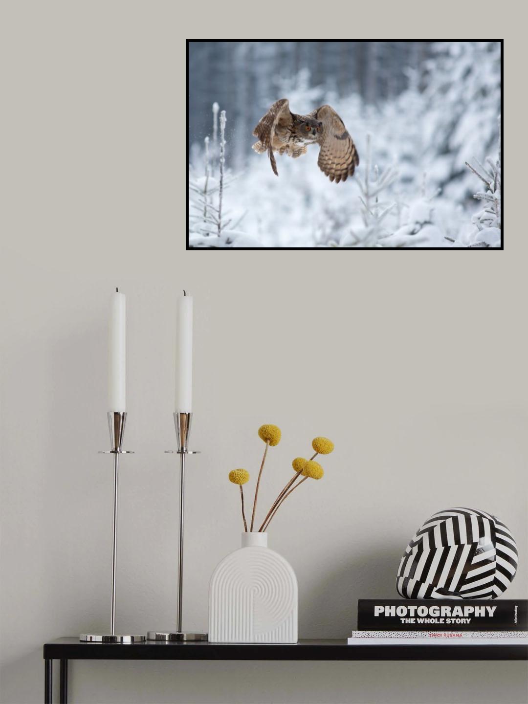 Eurasian eagle-owl Poster och Canvastavla