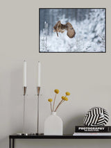 Eurasian eagle-owl Poster och Canvastavla