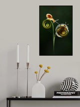 Snail with Ladybugs Poster och Canvastavla