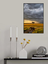 Sunset in Masai Mara Poster och Canvastavla