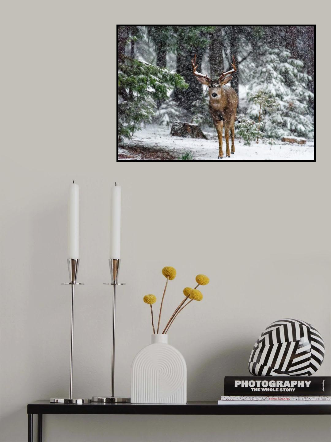 Snow Storm And The Buck Deer Poster och Canvastavla