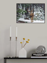 Snow Storm And The Buck Deer Poster och Canvastavla