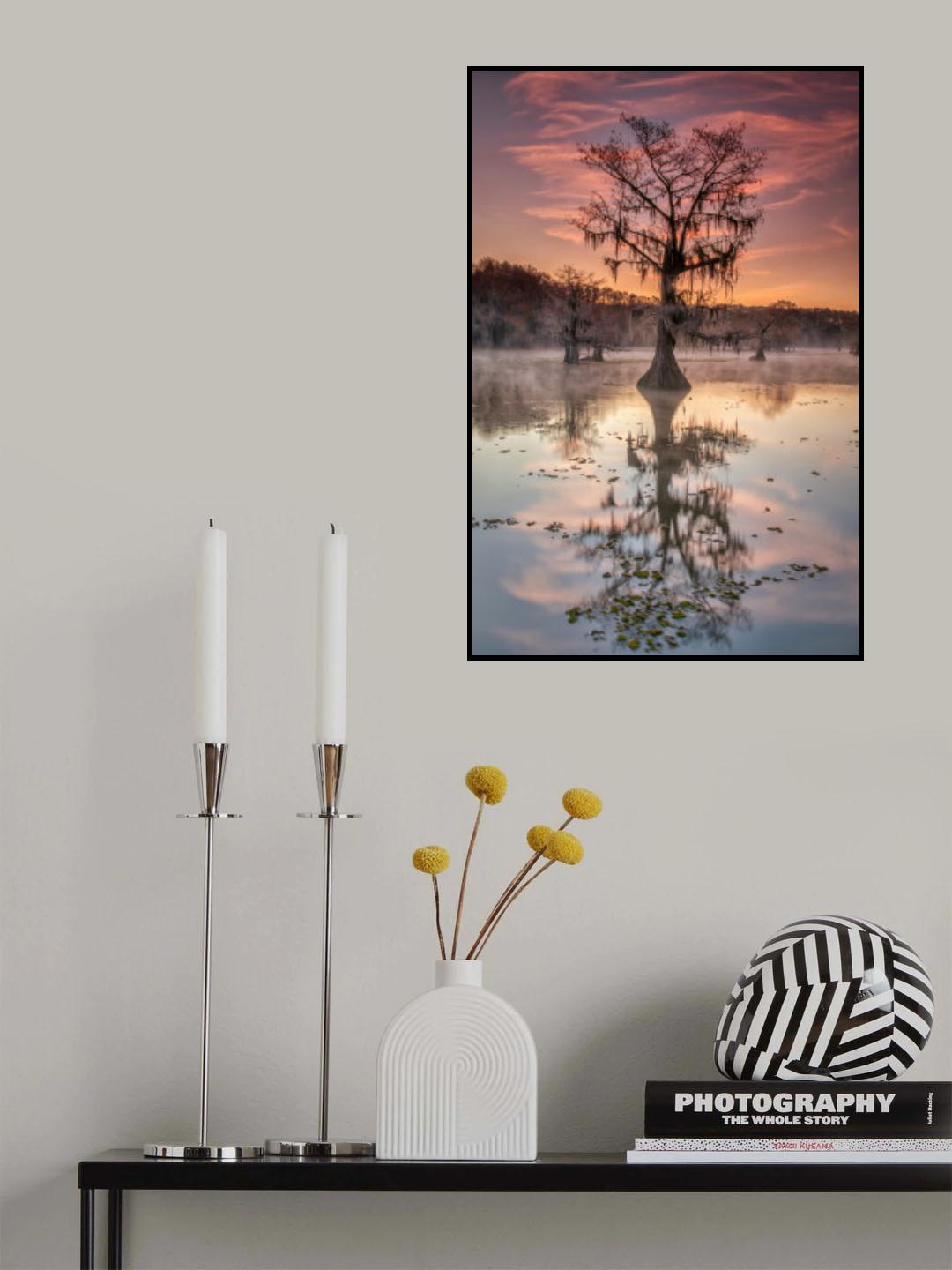 Bayou sunrise Poster och Canvastavla