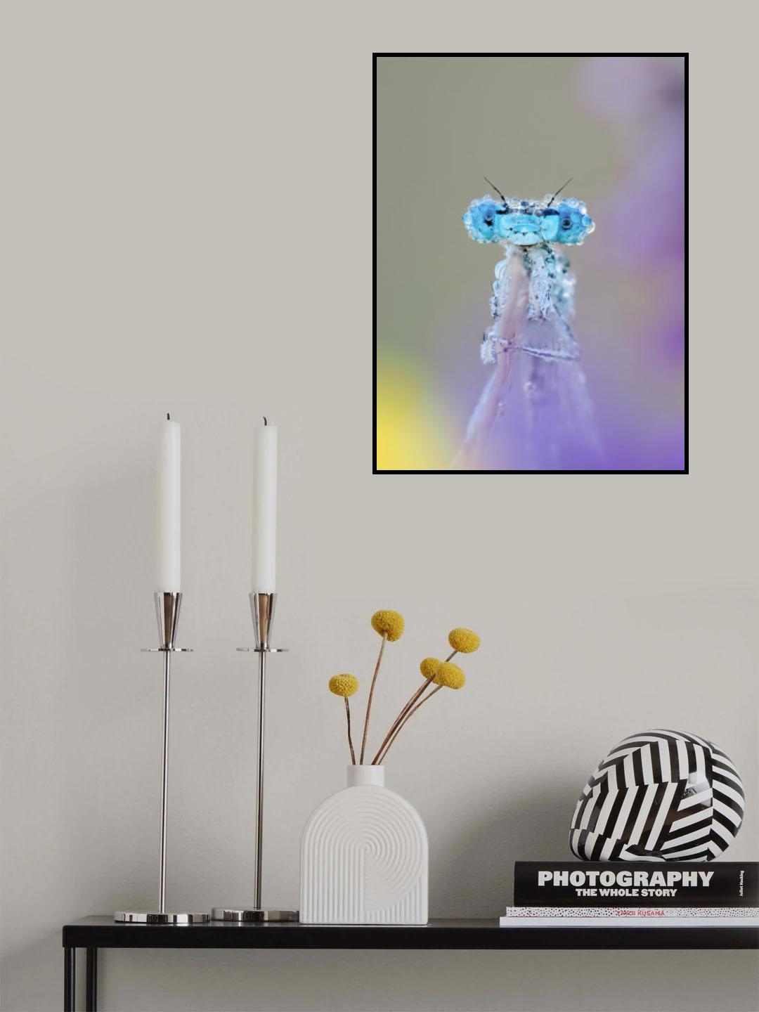Dewy Poster och Canvastavla