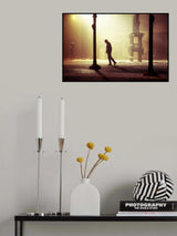 Stranger in the night Poster och Canvastavla