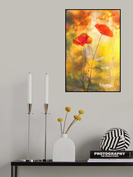 red  &amp; white Poster och Canvastavla