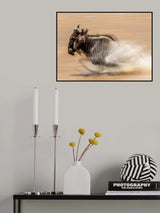 SLOW SHUTTER WILDEBEEST Poster och Canvastavla
