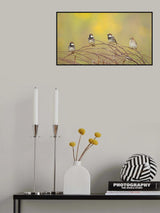 The 4 Sparrows Poster och Canvastavla