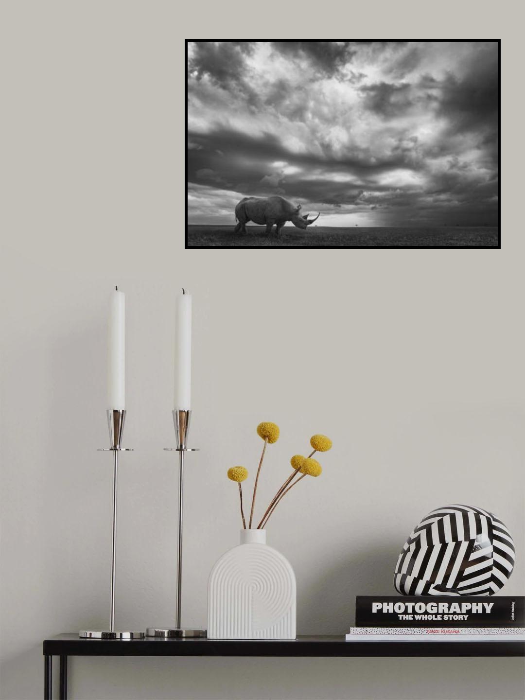 Rhino Land Poster och Canvastavla