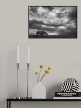 Rhino Land Poster och Canvastavla