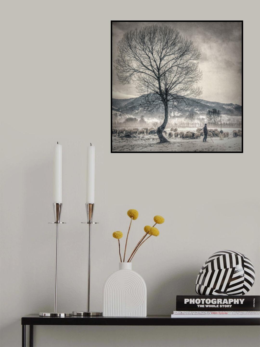 winter grazing Poster och Canvastavla