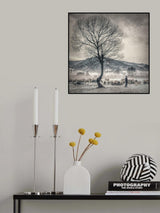 winter grazing Poster och Canvastavla