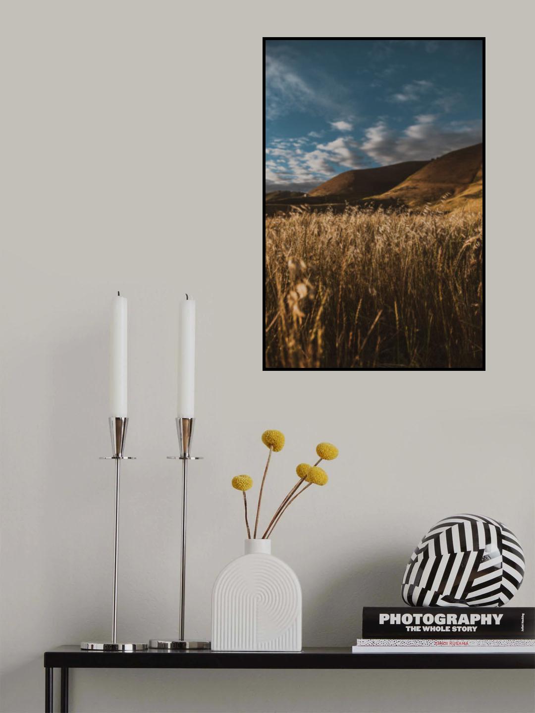 Hillside and Grass Poster och Canvastavla