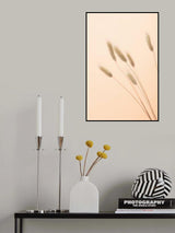Bunny Grass Peach 03 Poster och Canvastavla