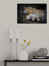 HER CUTENESS, the afternoon nap Poster och Canvastavla